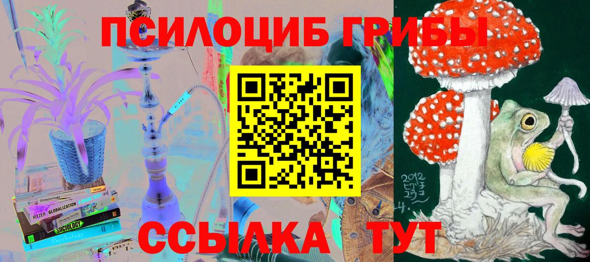 Псилоцибиновые грибы Magic Shrooms  Вход с VPN  Галлюциногенные грибы Magic Shrooms  купить   Кострома 