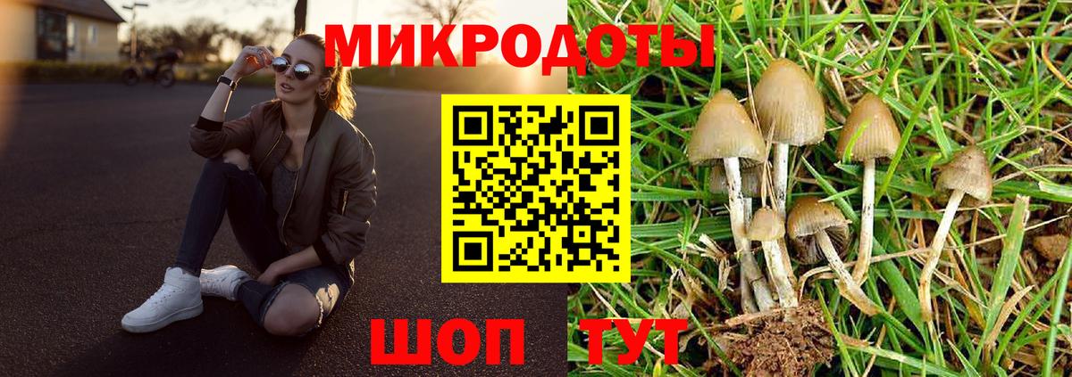Галлюциногенные грибы Psilocybine cubensis Кострома